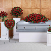 For The Service Image
